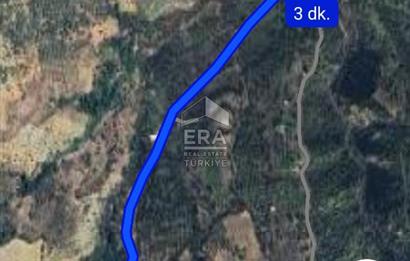 Çıkrıkçı köyüne 3 dakika mesafede 3.700m2 satılık bahçe