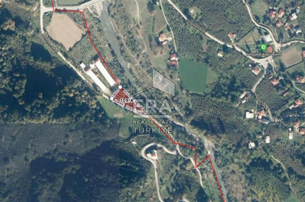 SAKARYA  AKYAZIDA 2081 M2 FINDIKLIK