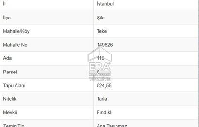 ŞİLE TEKE'DE 524,55 M2 TARLA