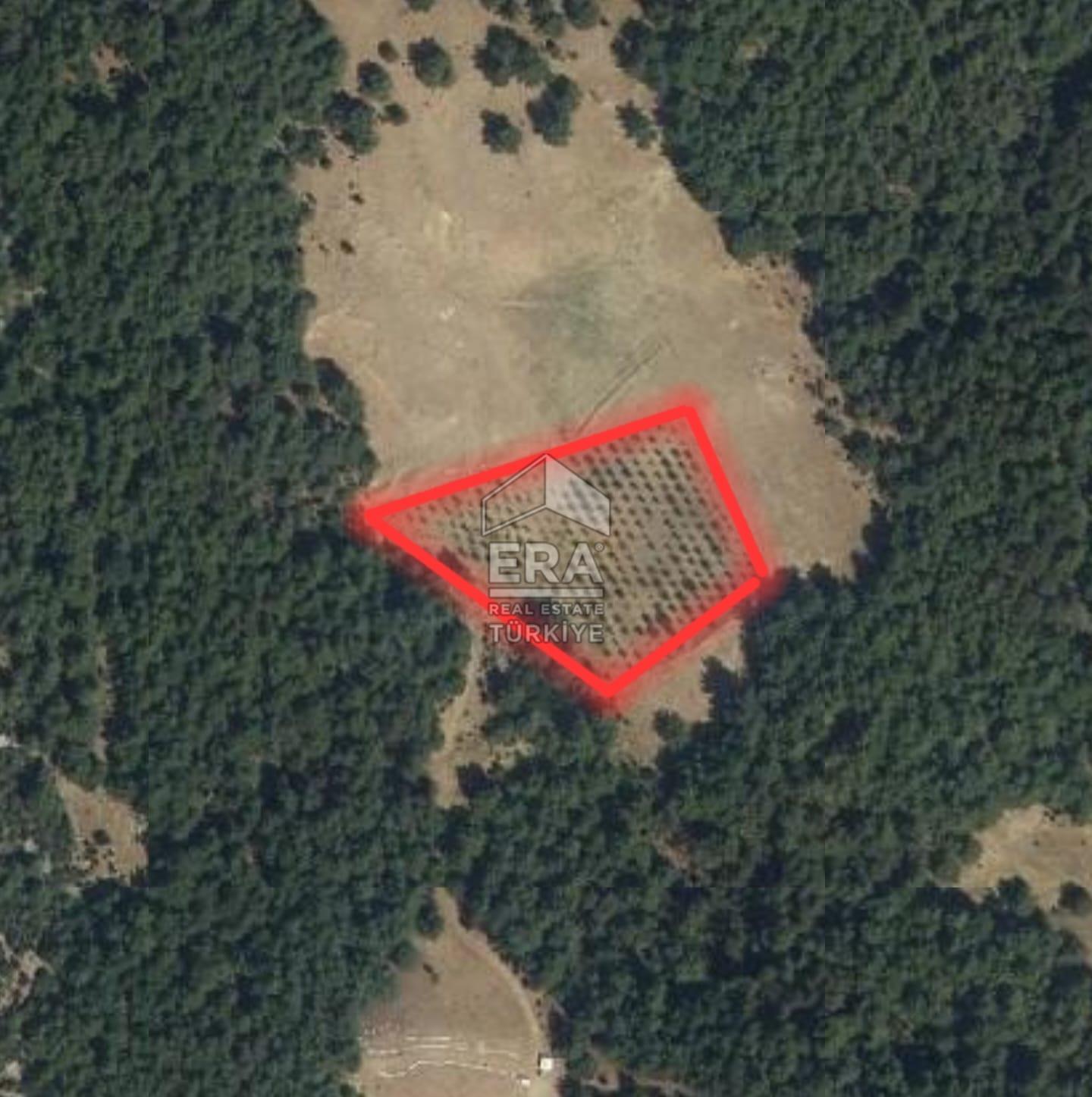 4 BİR TARAFI ORMAN İÇERİSİNDE 4700m2 BAHÇE