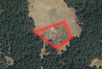 4 BİR TARAFI ORMAN İÇERİSİNDE 4700m2 BAHÇE