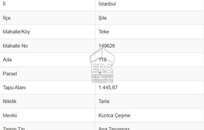 ŞİLE TEKE'DE 1.445,67 M2 TARLA