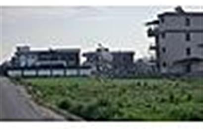 MENDERES OĞLANANASINDA 527 m2 İMARLI ARSA