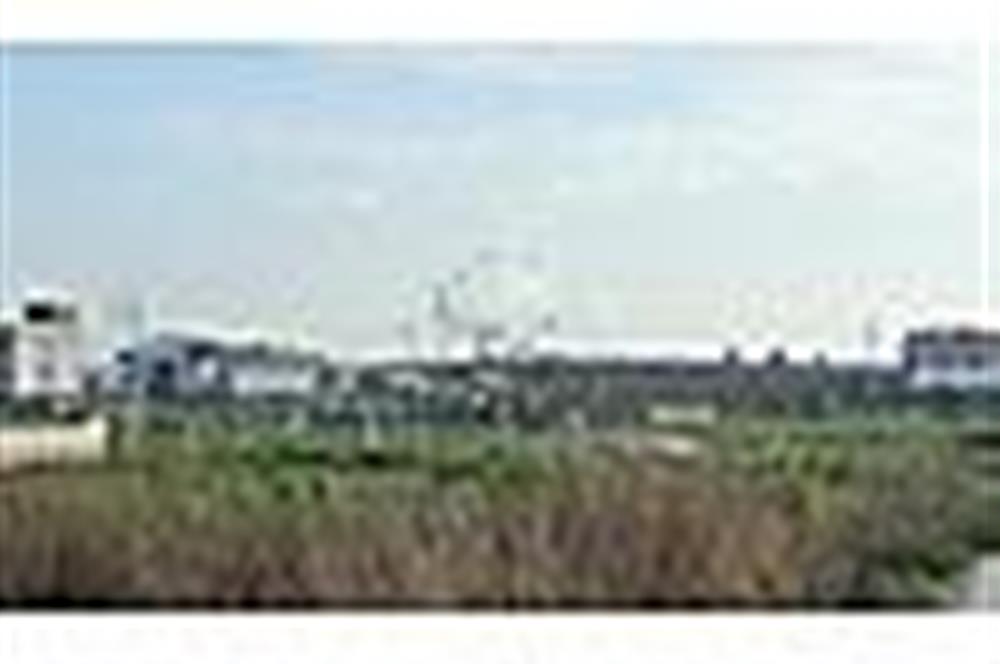 MENDERES OĞLANANASINDA 527 m2 İMARLI ARSA