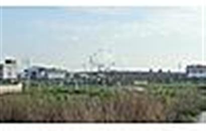 MENDERES OĞLANANASINDA 527 m2 İMARLI ARSA
