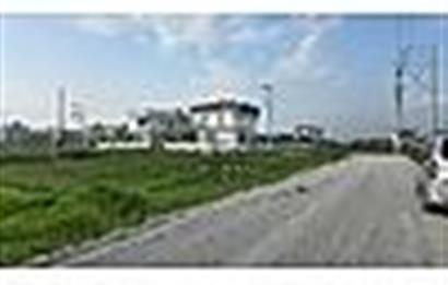 MENDERES OĞLANANASINDA 527 m2 İMARLI ARSA