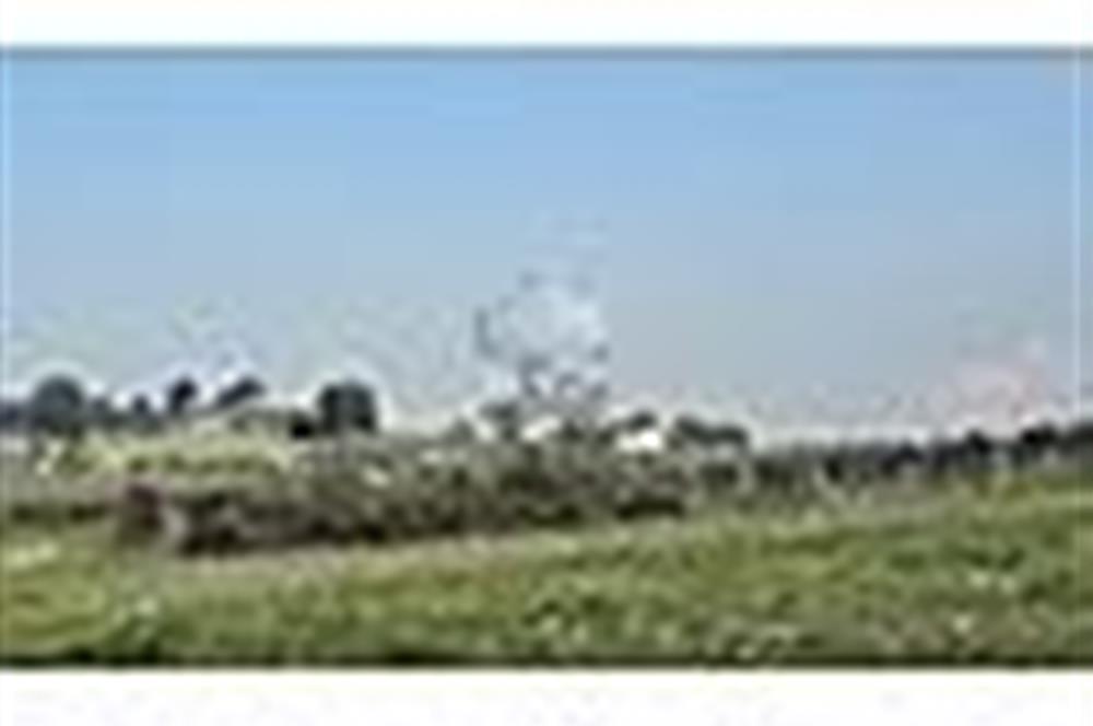 MENDERES BULGURCA ÇOK GÜZEL KONUM 1850 m2