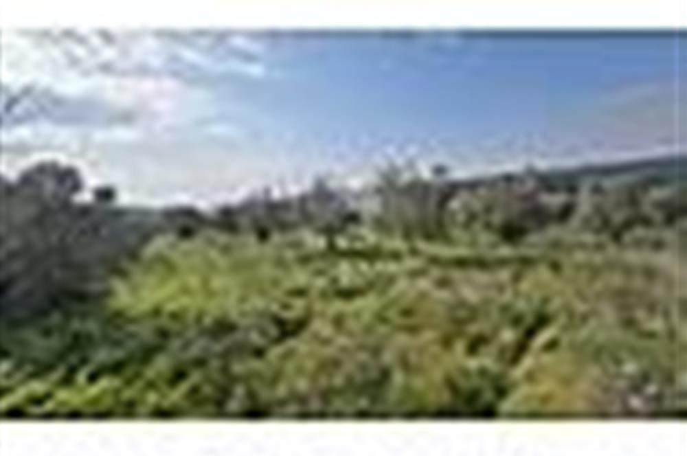MENDERES BULGURCA ÇOK GÜZEL KONUM 1850 m2