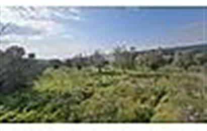 MENDERES BULGURCA ÇOK GÜZEL KONUM 1850 m2
