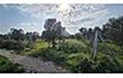 MENDERES BULGURCA ÇOK GÜZEL KONUM 1850 m2