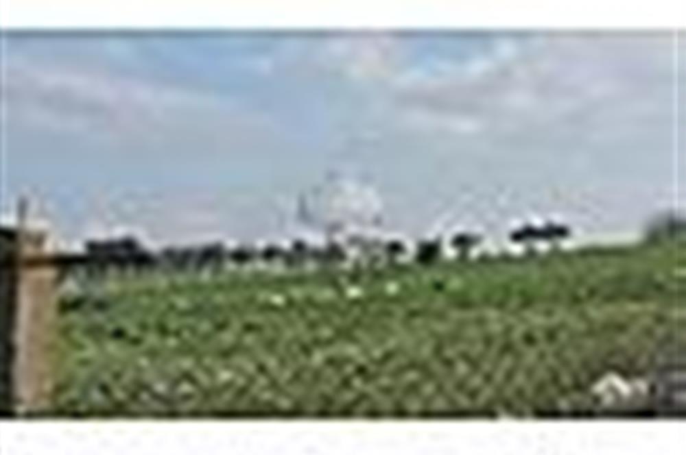 MENDERES BULGURCA ÇOK GÜZEL KONUM 1850 m2
