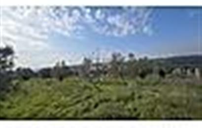 MENDERES BULGURCA ÇOK GÜZEL KONUM 1850 m2