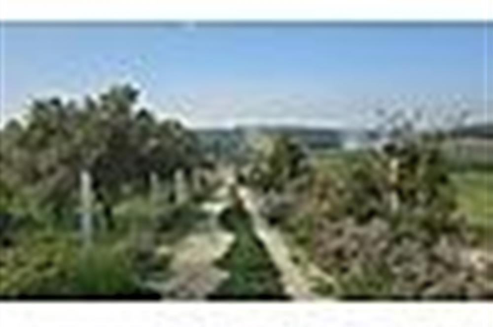MENDERES BULGURCA ÇOK GÜZEL KONUM 1850 m2