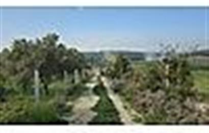 MENDERES BULGURCA ÇOK GÜZEL KONUM 1850 m2