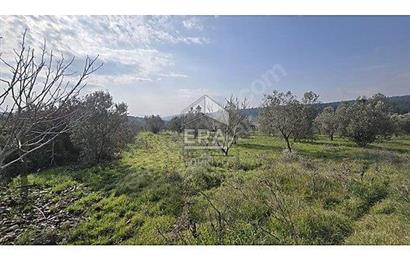 MENDERES BULGURCA ÇOK GÜZEL KONUM 1850 m2