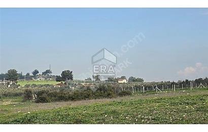 MENDERES BULGURCA ÇOK GÜZEL KONUM 1850 m2
