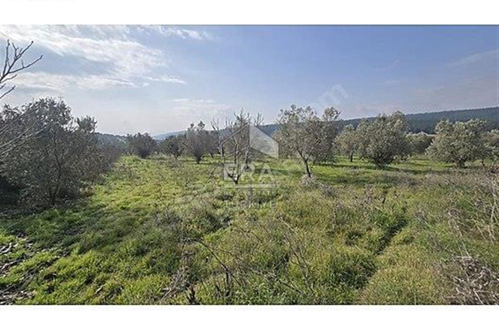 MENDERES BULGURCA ÇOK GÜZEL KONUM 1850 m2