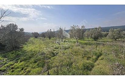 MENDERES BULGURCA ÇOK GÜZEL KONUM 1850 m2