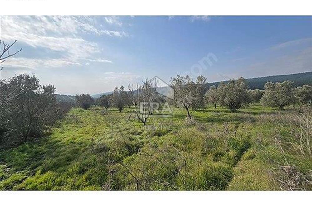 MENDERES BULGURCA ÇOK GÜZEL KONUM 1850 m2