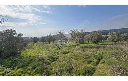 MENDERES BULGURCA ÇOK GÜZEL KONUM 1850 m2