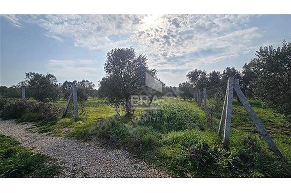 MENDERES BULGURCA ÇOK GÜZEL KONUM 1850 m2