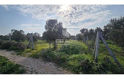 MENDERES BULGURCA ÇOK GÜZEL KONUM 1850 m2
