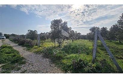 MENDERES BULGURCA ÇOK GÜZEL KONUM 1850 m2
