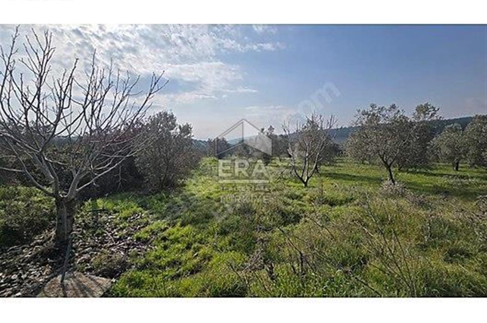 MENDERES BULGURCA ÇOK GÜZEL KONUM 1850 m2