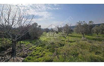 MENDERES BULGURCA ÇOK GÜZEL KONUM 1850 m2
