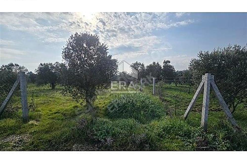 MENDERES BULGURCA ÇOK GÜZEL KONUM 1850 m2
