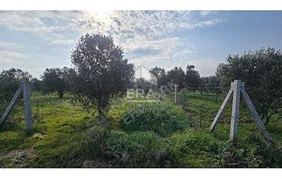 MENDERES BULGURCA ÇOK GÜZEL KONUM 1850 m2