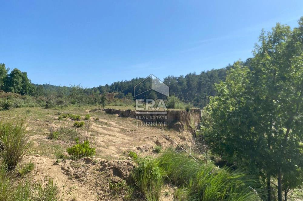 Antalya Manavgat Uzunlar Satılık Tarla