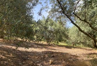 ANTALYA MANAVGAT OYMAPINAR (SEKİ) MAHALLESİ SATILIK TARLA
