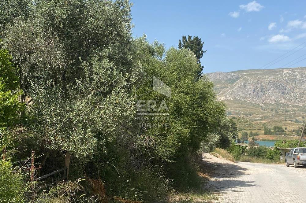 ANTALYA MANAVGAT OYMAPINAR (SEKİ) MAHALLESİ SATILIK TARLA
