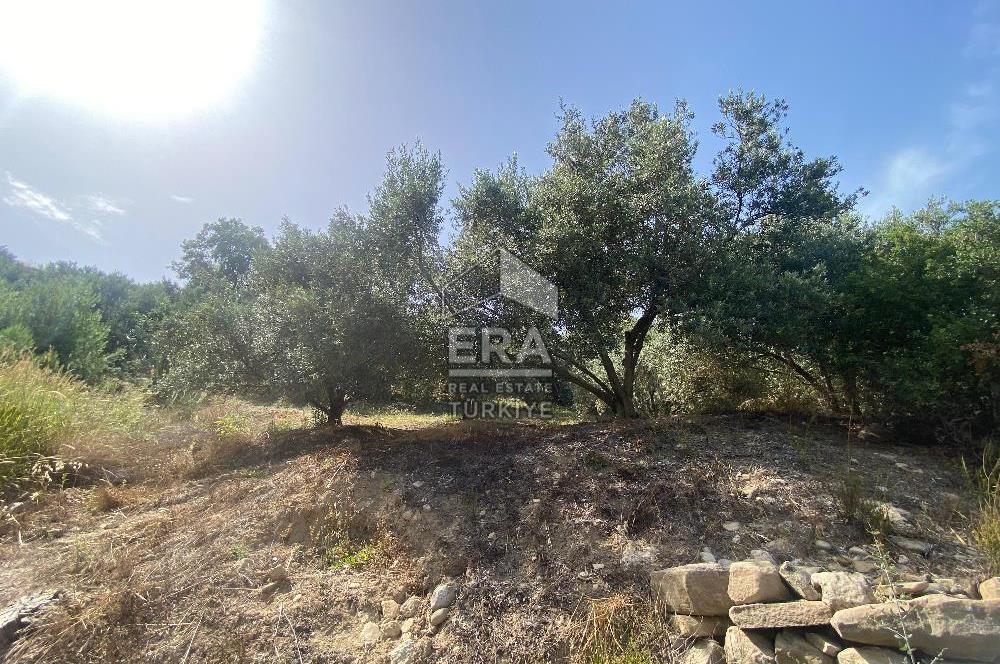 ANTALYA MANAVGAT OYMAPINAR (SEKİ) MAHALLESİ SATILIK TARLA