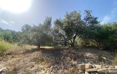 ANTALYA MANAVGAT OYMAPINAR (SEKİ) MAHALLESİ SATILIK TARLA