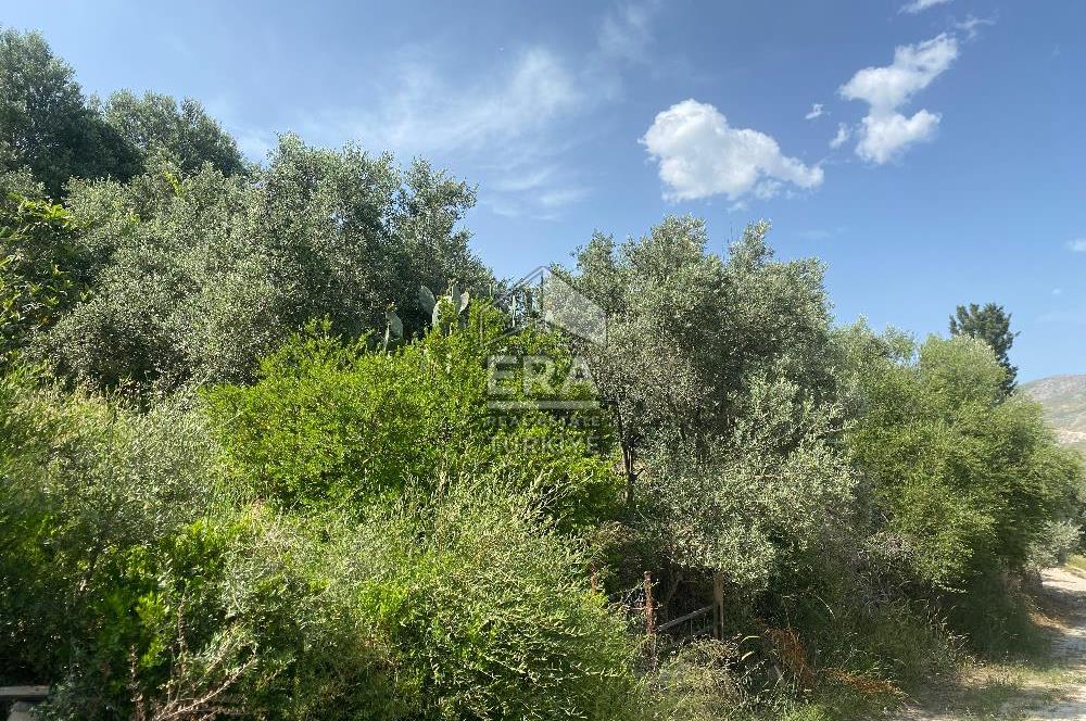 ANTALYA MANAVGAT OYMAPINAR (SEKİ) MAHALLESİ SATILIK TARLA