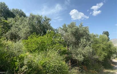ANTALYA MANAVGAT OYMAPINAR (SEKİ) MAHALLESİ SATILIK TARLA