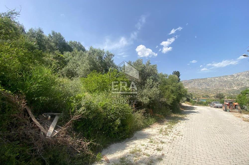 ANTALYA MANAVGAT OYMAPINAR (SEKİ) MAHALLESİ SATILIK TARLA