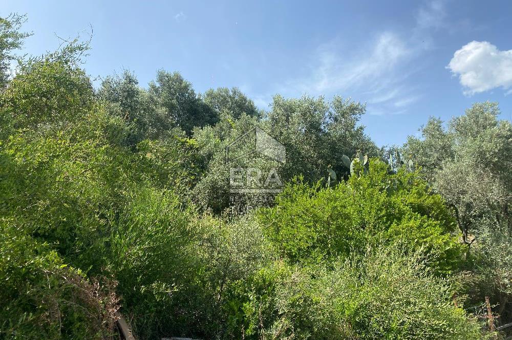 ANTALYA MANAVGAT OYMAPINAR (SEKİ) MAHALLESİ SATILIK TARLA