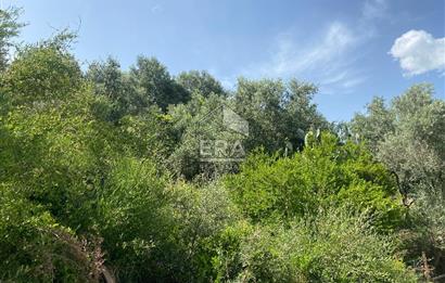 ANTALYA MANAVGAT OYMAPINAR (SEKİ) MAHALLESİ SATILIK TARLA
