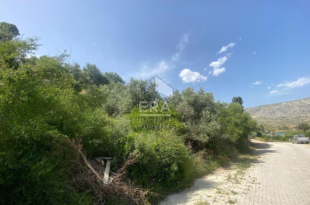 ANTALYA MANAVGAT OYMAPINAR (SEKİ) MAHALLESİ SATILIK TARLA