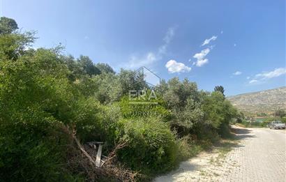 ANTALYA MANAVGAT OYMAPINAR (SEKİ) MAHALLESİ SATILIK TARLA