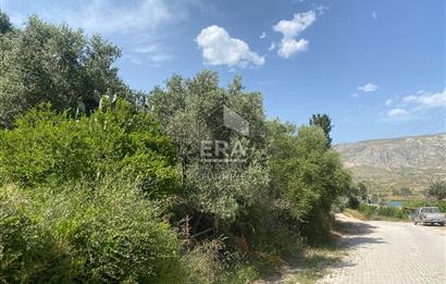 ANTALYA MANAVGAT OYMAPINAR (SEKİ) MAHALLESİ SATILIK TARLA