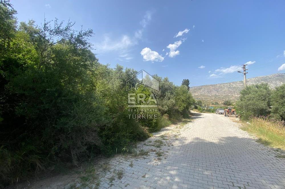 ANTALYA MANAVGAT OYMAPINAR (SEKİ) MAHALLESİ SATILIK TARLA