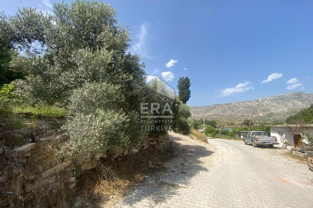 ANTALYA MANAVGAT OYMAPINAR (SEKİ) MAHALLESİ SATILIK TARLA