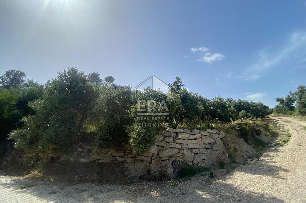 ANTALYA MANAVGAT OYMAPINAR (SEKİ) MAHALLESİ SATILIK TARLA