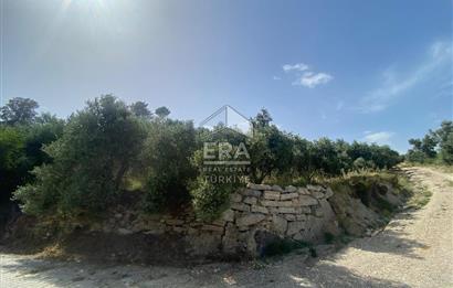ANTALYA MANAVGAT OYMAPINAR (SEKİ) MAHALLESİ SATILIK TARLA
