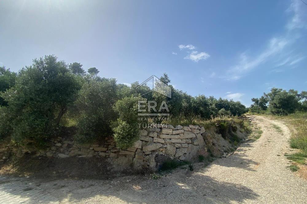 ANTALYA MANAVGAT OYMAPINAR (SEKİ) MAHALLESİ SATILIK TARLA