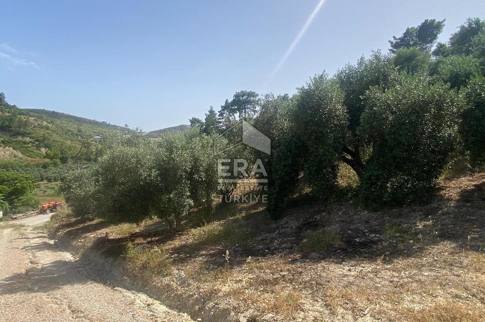 ANTALYA MANAVGAT OYMAPINAR (SEKİ) MAHALLESİ SATILIK TARLA